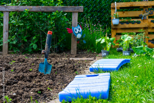 Gardening planting Cocumbers in Lower Bavaria Germany photo