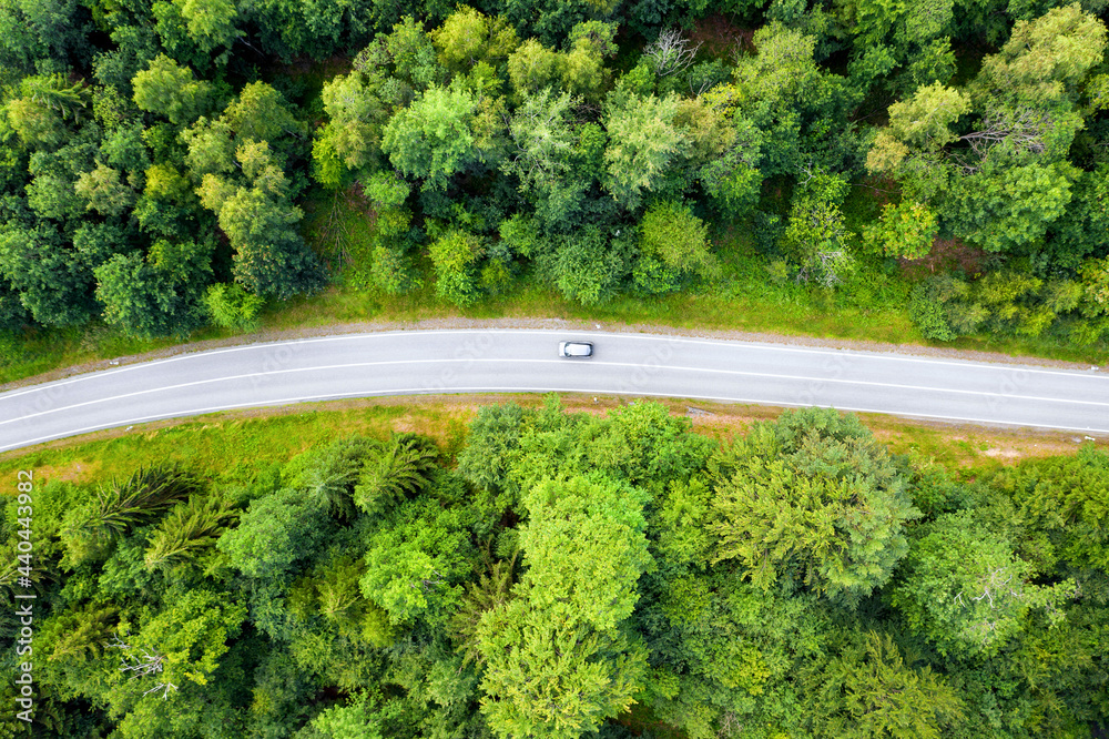 a forest road with a single car from above