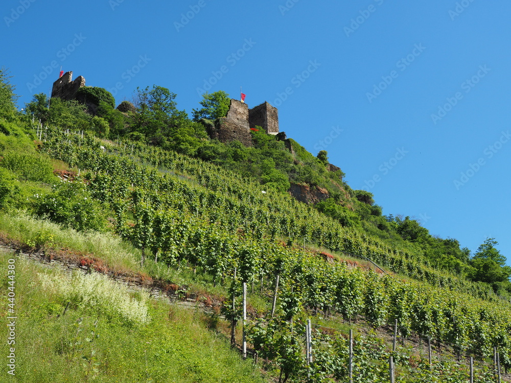 Burg Metternich bei Beilstein an der Mosel