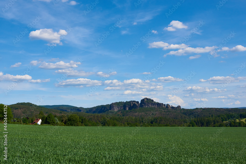 Fototapeta premium Blick auf die Schrammsteine in der Sächsischen Schweiz