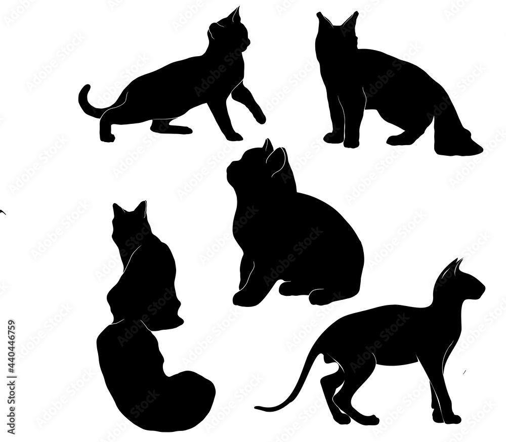 Hand drawn vector cats illustrations on transparent background