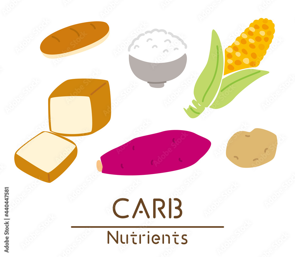 炭水化物を多く含む食品のイラスト Stock Vector Adobe Stock