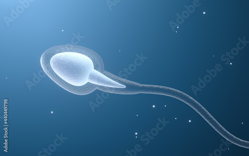 Human sperm cells, 3d rendering. photo