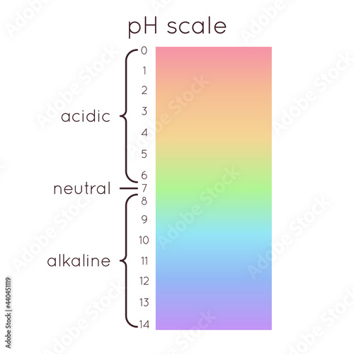 pH scale diagram. Vector rainbow illustration