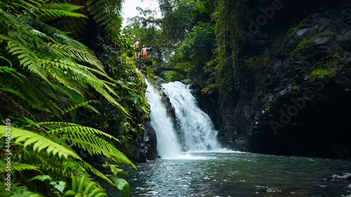 waterfall with rocks among tropical jungle with green plants and trees and water falling down into river