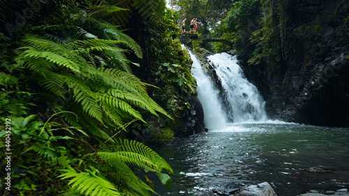 waterfall with rocks among tropical jungle with green plants and trees and water falling down into river