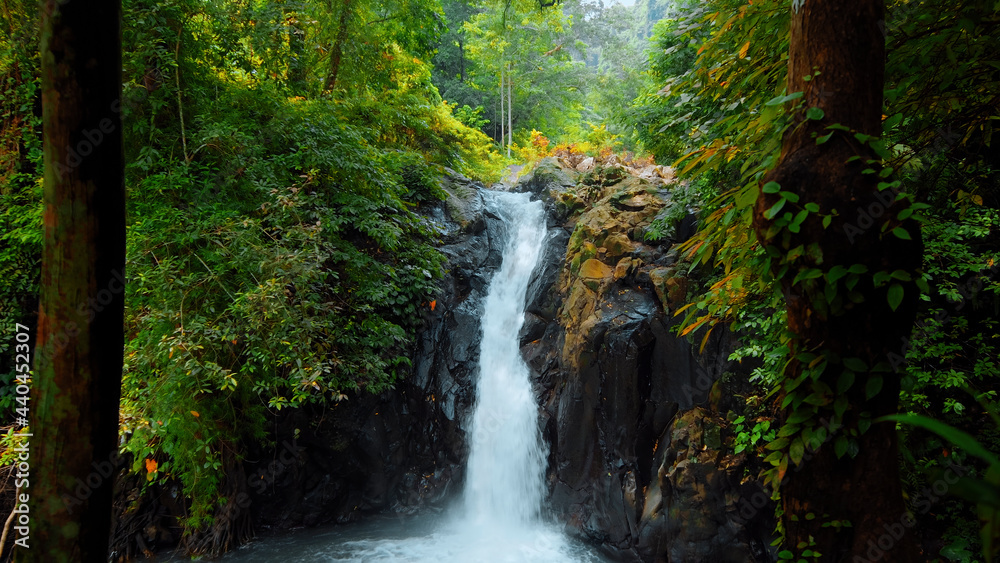 Obraz premium waterfall with rocks among tropical jungle with green plants and trees and water falling down into river