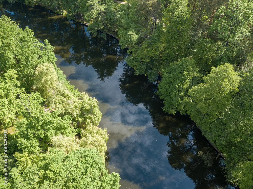 Stream among green trees in spring. Aerial drone view. Stream among green trees in spring. Aerial drone view.