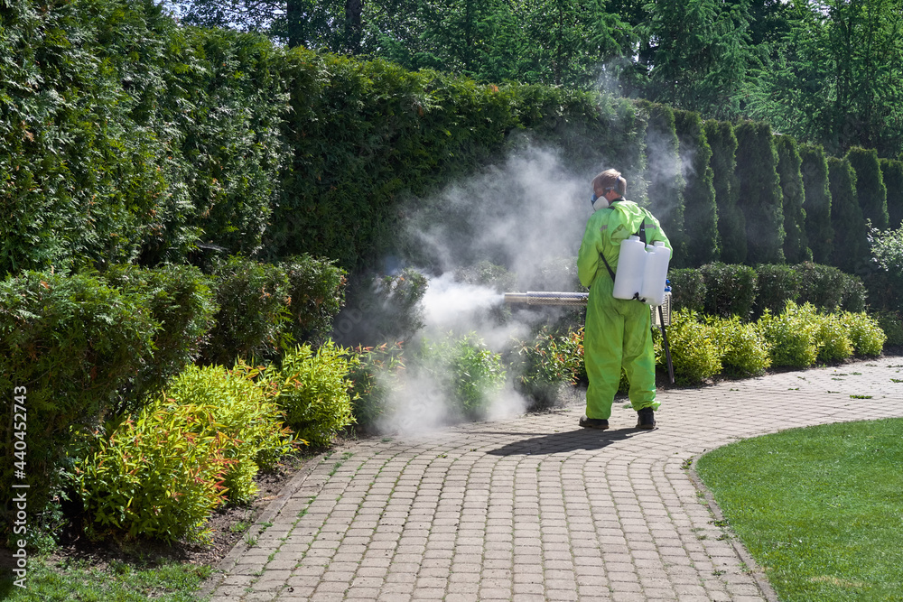 pest control worker fogging insecticide smoke outdoor garden eliminate  mosquitoes, pest, mite, acarus, ticks Stock Photo | Adobe Stock