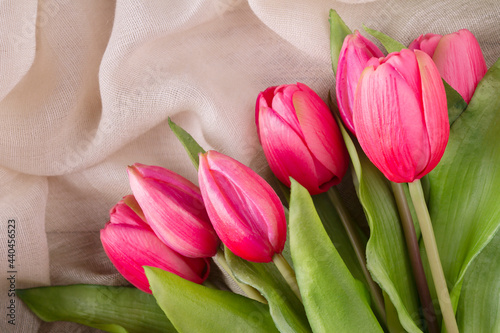 Pink tulips on a linen transparent fabric.