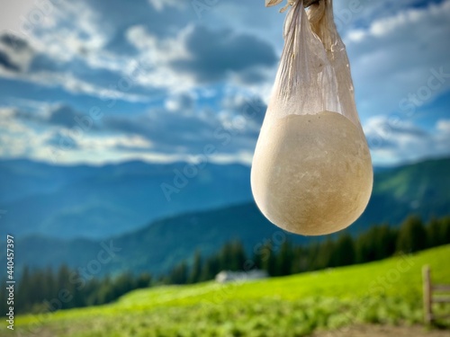 The process of making bio cheese in the mountains, beautiful alpine landscape