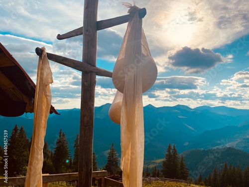 Traditional way of making cheese, beautiful landscape sheepfold scene
