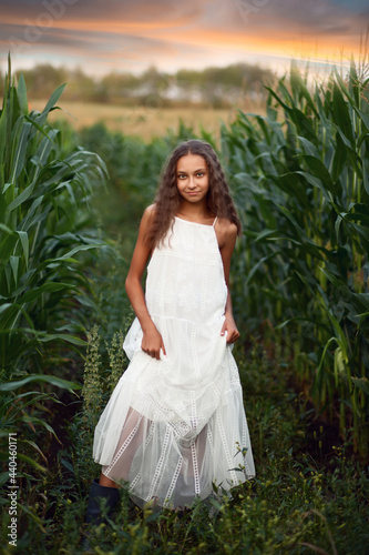 Teen girl in corns field in a summer evening © zulfiska