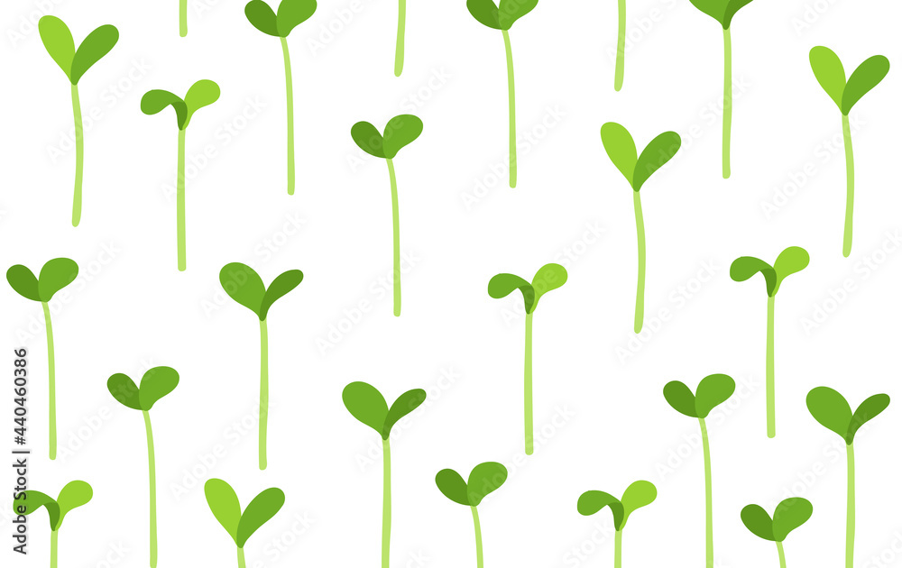 Seedlings field. Growing young plant shoots. Crops seed began to sprout. Vector background.