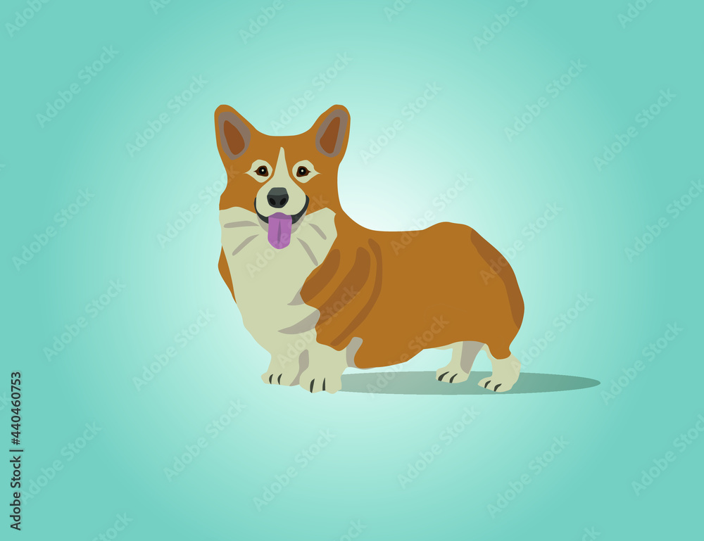 Vector illustration of corgi, dog, friend, isolated character, smile