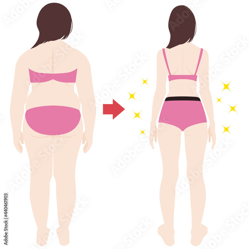 後ろ向きのダイエットのビフォーアフターのベクターイラスト素材