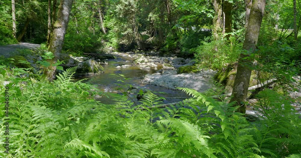 Establishing shot of Majestic mountain creek with rocky background in Vancouver, Canada, North America. Day time on June 2021. Still camera view. ProRes 422 HQ. Establishing shot of Majestic mountain creek with rocky background in Vancouver, Canada, North America. Day time on June 2021. Still camera view. ProRes 422 HQ.