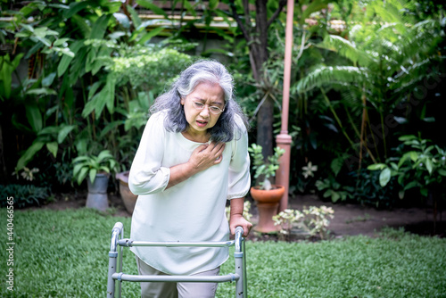 Asian elderly woman, are suffering from angina Due to heart disease, as she walk with walker on the green lawn, to people elderly heart disease and health care concept. photo