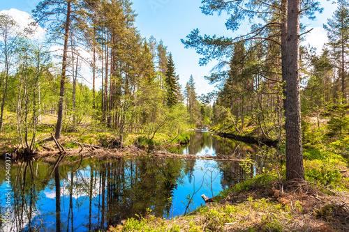 Fototapeta Naklejka Na Ścianę i Meble -  Swedish river landscape invites you to linger on a sunny summer day