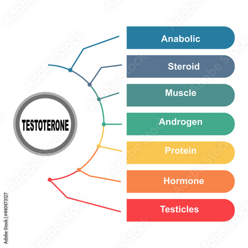 Diagram concept with Testoterone text and keywords. EPS 10 isolated on white background