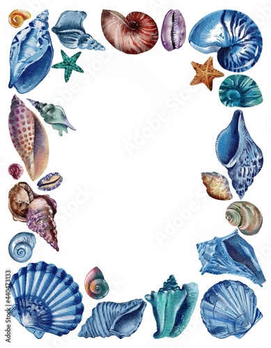 Copy space frame of seashells. Sea shells watercolor hand drawn illustration set isolated on white background for banner, poster, print, postcard, textile, template, card, invitation
