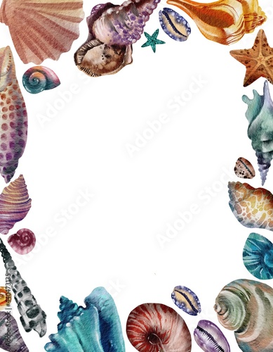 Copy space frame of seashells. Sea shells watercolor hand drawn illustration set isolated on white background for banner, poster, print, postcard, textile, template, card, invitation