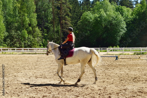 person riding a horse