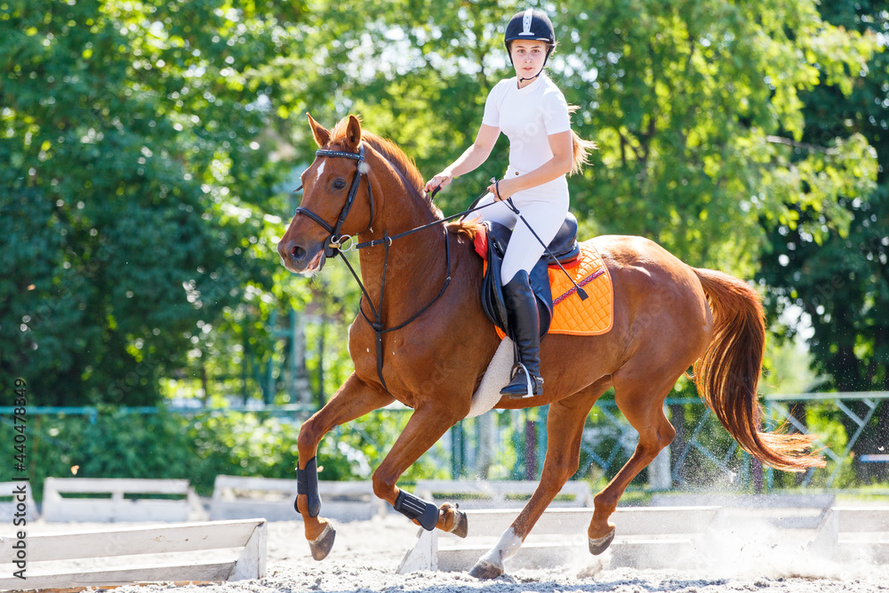 Young teen rider girl on show jumping competition Young teen rider girl on show jumping competition