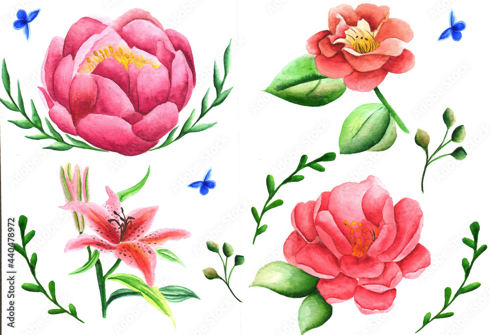Naklejka Watercolor hand-painted floral elements set. Botanical illustration lily, rose, peony, flowers, leaves and butterflies in different colors, red blue, pink and green. Natural objects isolated