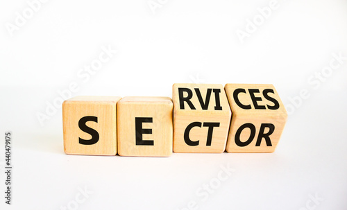 Services sector symbol. Turned wooden cubes with words services sector. Beautiful white background. Business and services sector concept. Copy space.