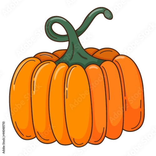 A whole orange pumpkin. A symbol of autumn, harvest. Design element with outline. Doodle, hand-drawn. Flat design. vegetable, melon plant. Color vector illustration. Isolated on a white background.