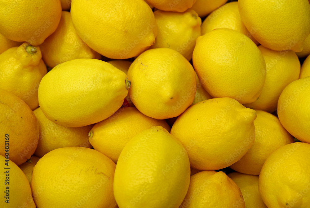 Heap of fresh ripe vivid yellow lemons for background or banner Heap of fresh ripe vivid yellow lemons for background or banner