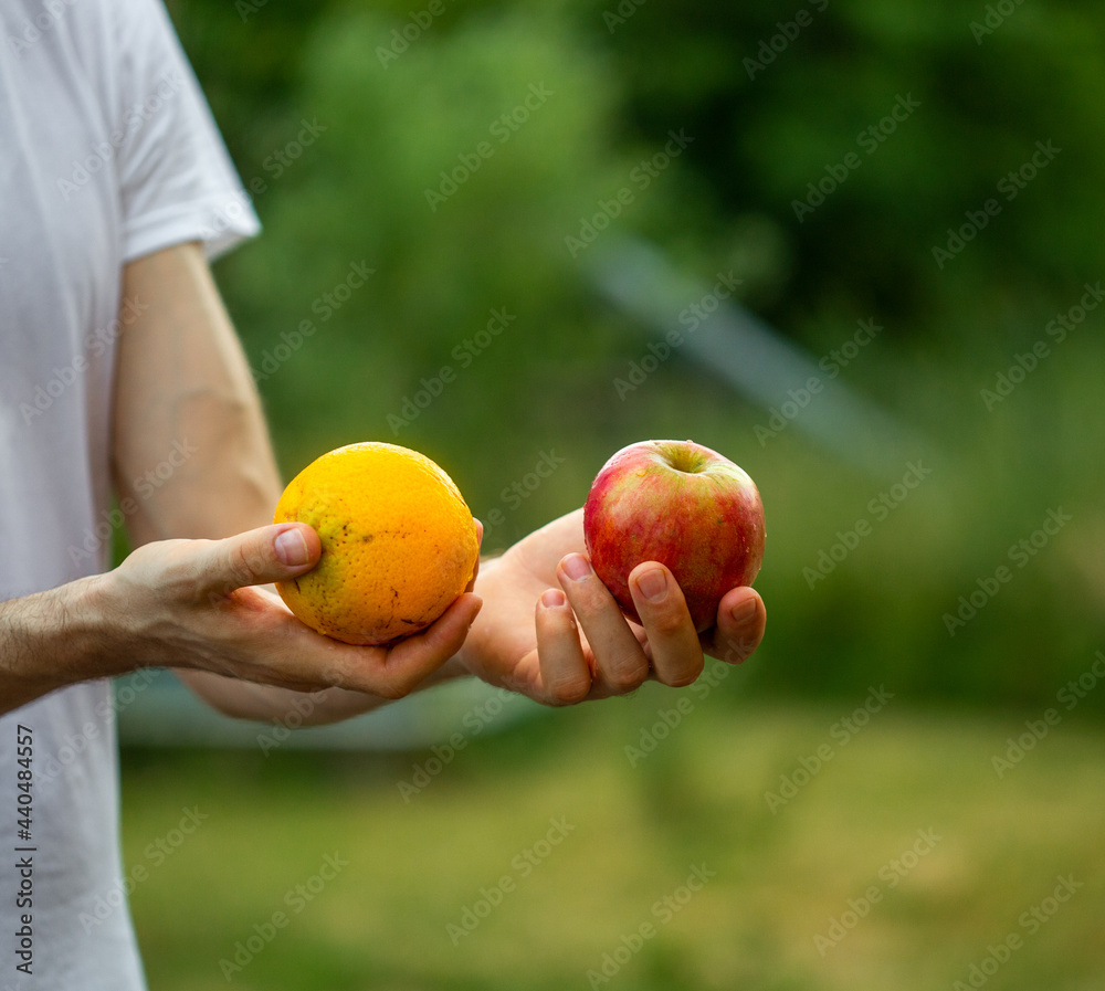 Comparing apples and oranges. Man hands holding apples and oranges. Comparing apples and oranges. Man hands holding apples and oranges.