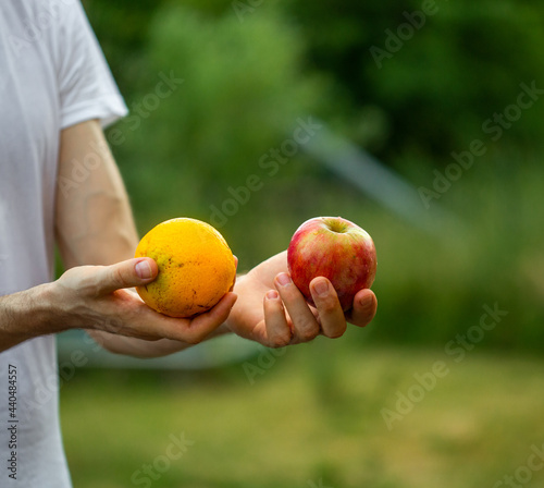 Comparing apples and oranges. Man hands holding apples and oranges.