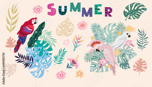 Summer set 2