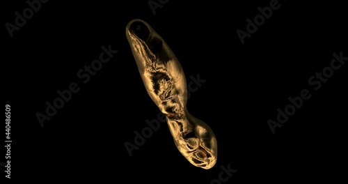Gold ginger root rotate on black background. Alpha matte channel.