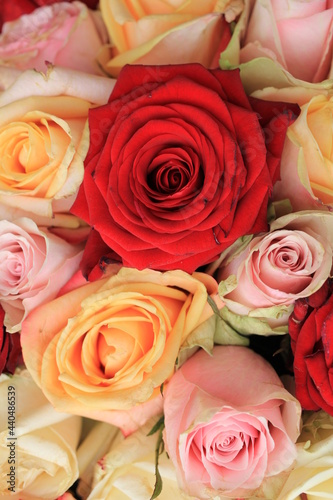 Mixed pink roses