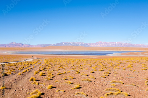 Bolivian lagoon view,Bolivia photo