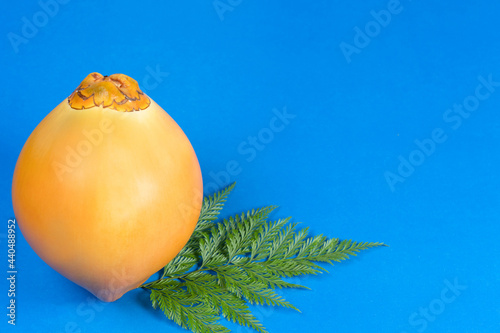 An shiny orange king coconut with a green fern.