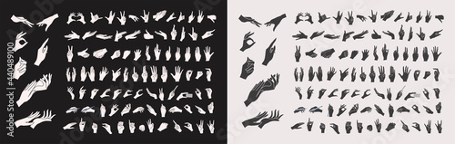 Gestures. A set of hands in different gestures? Silhouettes of hands. Women's hands in various situations. On a white background isolated. Vector illustration
 photo