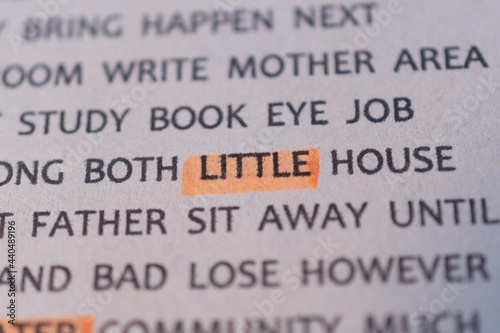 "LITTLE" highlighted (underlined) word with a colored marker.