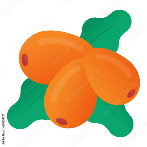 Sea Buckthorn Berries

