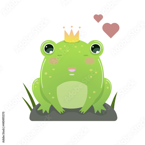 Frog with a crown on a white background. Vector illustration.