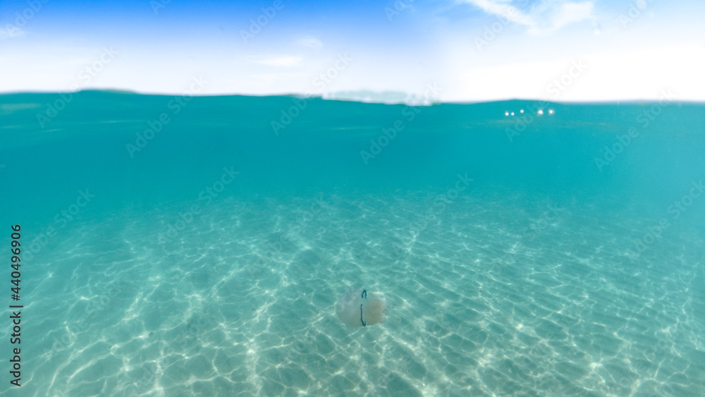 Rays of sunlight shining into sea bottom,Half water, Half underwater beach, jellyfish swimming, half sky, clear sea water suitable for swimming and beautiful white sand, Caribbean vacation concept