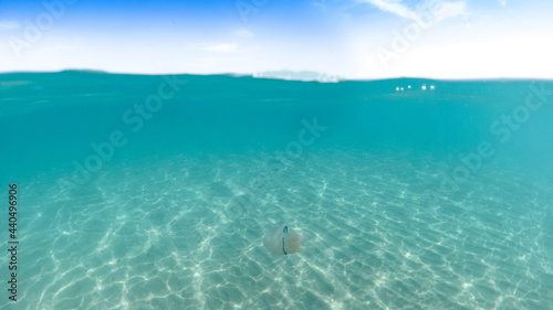 Rays of sunlight shining into sea bottom,Half water, Half underwater beach, jellyfish swimming, half sky, clear sea water suitable for swimming and beautiful white sand, Caribbean vacation concept