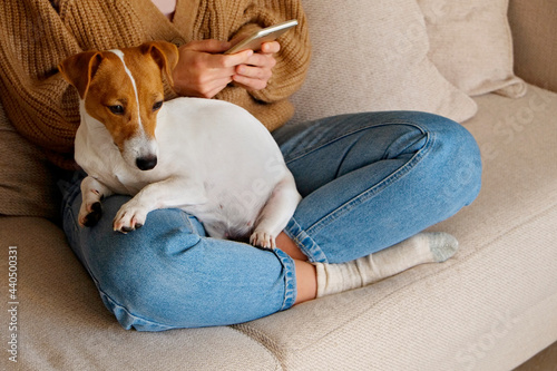 Cropped shot of adorable jack russell terrier pup sitting with its female owner. Unrecognizable woman wearing knitted sweater and mom jeans with cute doggy on her lap. Close up, copy space, background