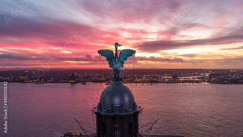 Liver Bird in the Sunset photo