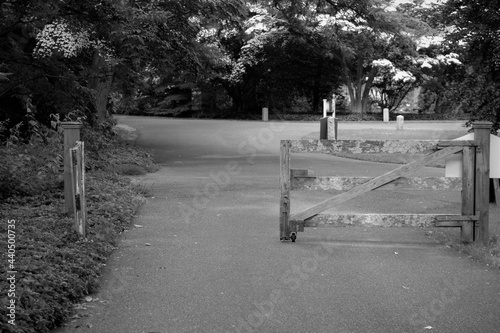 Wooden gate in park in black and white