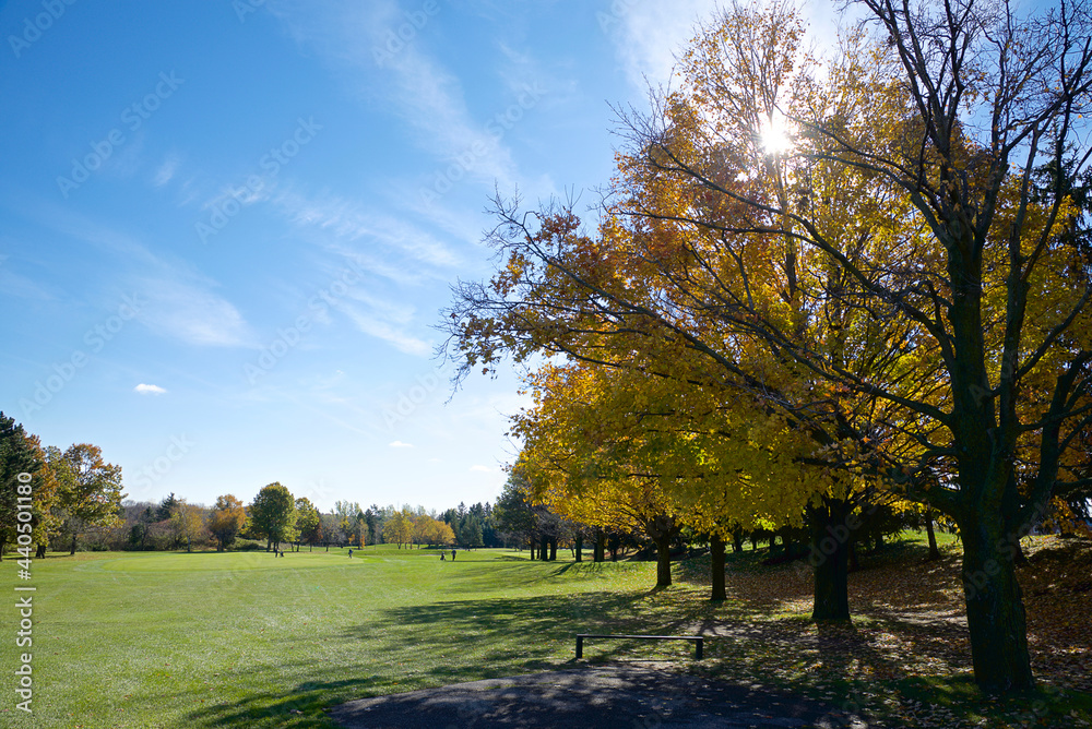 The golf course in autumn with lens flare