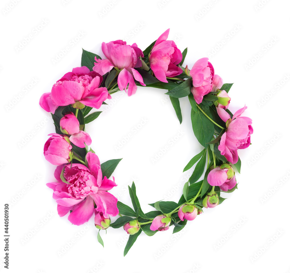 Round garland of beautiful pink peonies on white isolated background. Creative floral wreath.